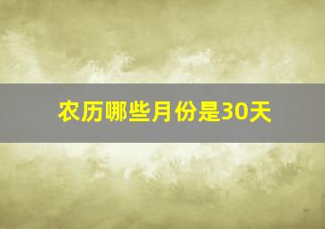 农历哪些月份是30天