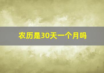 农历是30天一个月吗