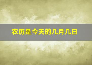 农历是今天的几月几日