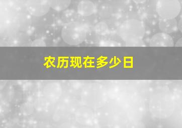 农历现在多少日