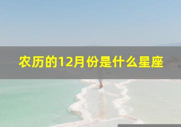 农历的12月份是什么星座