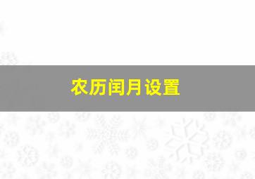 农历闰月设置