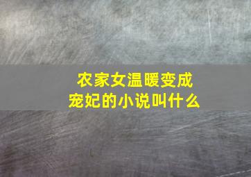 农家女温暖变成宠妃的小说叫什么