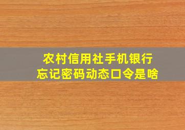 农村信用社手机银行忘记密码动态口令是啥