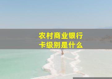 农村商业银行卡级别是什么