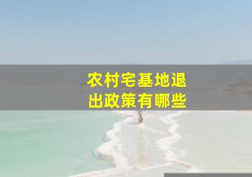 农村宅基地退出政策有哪些