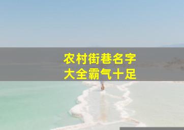 农村街巷名字大全霸气十足