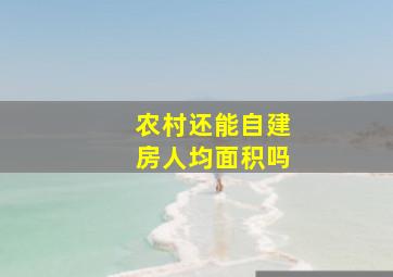 农村还能自建房人均面积吗