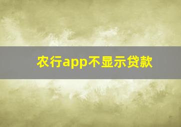 农行app不显示贷款