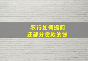 农行如何提前还部分贷款的钱