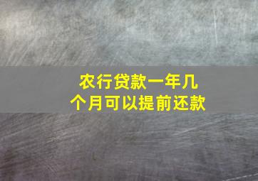 农行贷款一年几个月可以提前还款