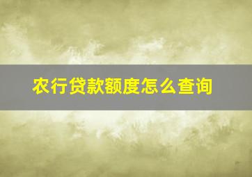 农行贷款额度怎么查询