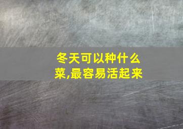 冬天可以种什么菜,最容易活起来