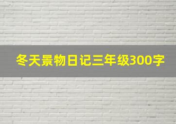 冬天景物日记三年级300字