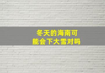 冬天的海南可能会下大雪对吗