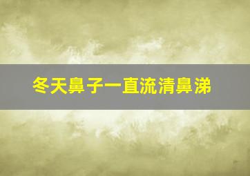 冬天鼻子一直流清鼻涕