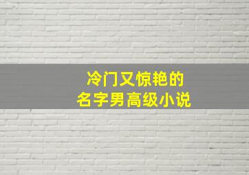 冷门又惊艳的名字男高级小说