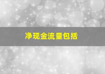 净现金流量包括