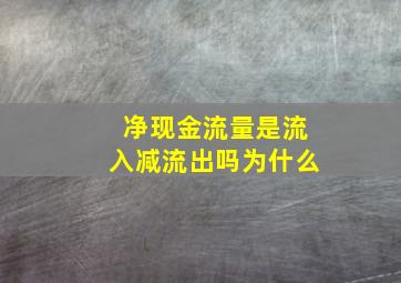 净现金流量是流入减流出吗为什么