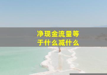 净现金流量等于什么减什么