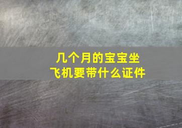 几个月的宝宝坐飞机要带什么证件