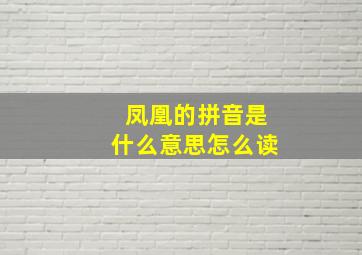 凤凰的拼音是什么意思怎么读