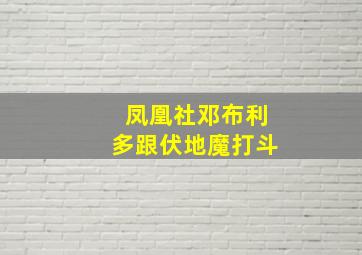 凤凰社邓布利多跟伏地魔打斗