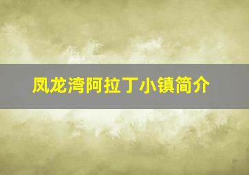 凤龙湾阿拉丁小镇简介