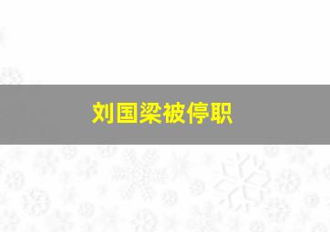 刘国梁被停职