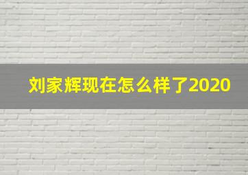 刘家辉现在怎么样了2020