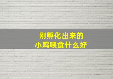 刚孵化出来的小鸡喂食什么好