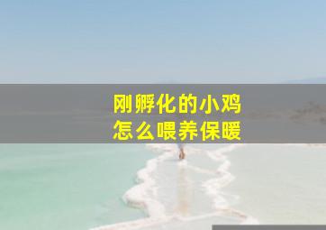 刚孵化的小鸡怎么喂养保暖