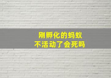 刚孵化的蚂蚁不活动了会死吗