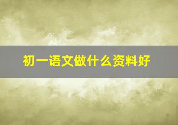 初一语文做什么资料好