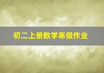 初二上册数学寒假作业