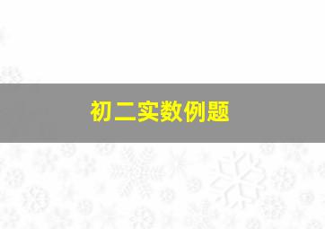 初二实数例题