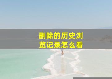 删除的历史浏览记录怎么看