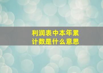 利润表中本年累计数是什么意思