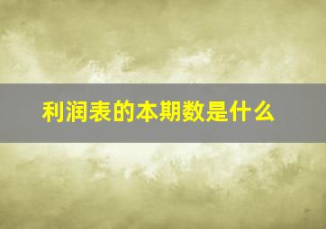 利润表的本期数是什么