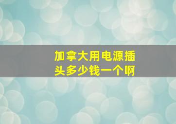 加拿大用电源插头多少钱一个啊