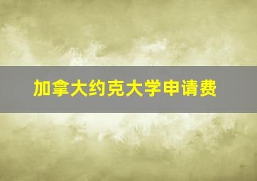 加拿大约克大学申请费