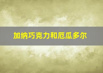 加纳巧克力和厄瓜多尔