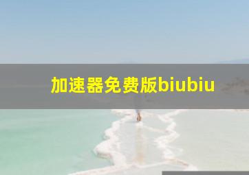 加速器免费版biubiu