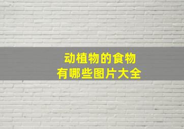 动植物的食物有哪些图片大全