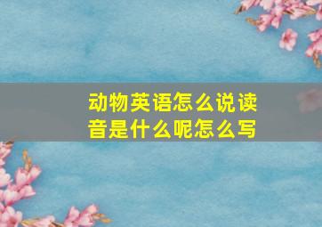 动物英语怎么说读音是什么呢怎么写