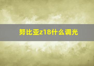 努比亚z18什么调光