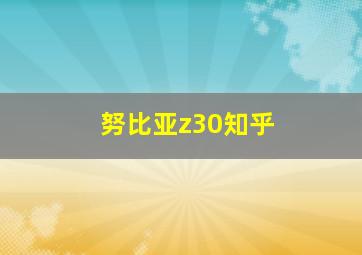 努比亚z30知乎