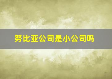 努比亚公司是小公司吗