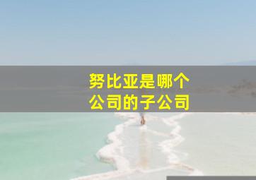 努比亚是哪个公司的子公司