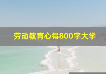 劳动教育心得800字大学